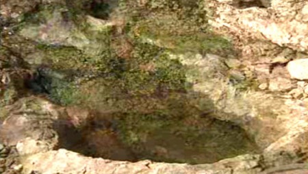 Vasque de grotte du petit cerf